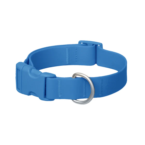 Blue PVC dog collar