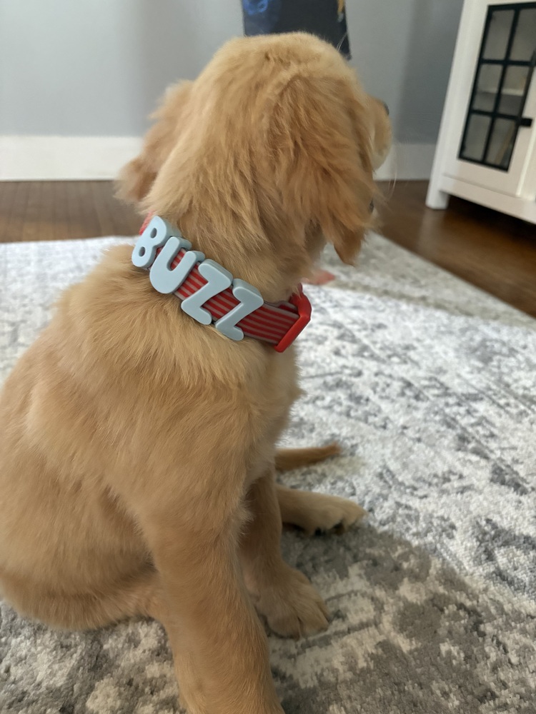 Buzz wearing their MyPawName collar