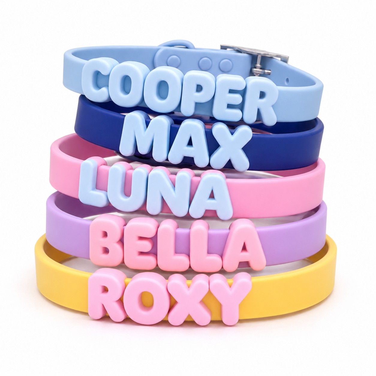 Matching PVC collar and leash with removable letters